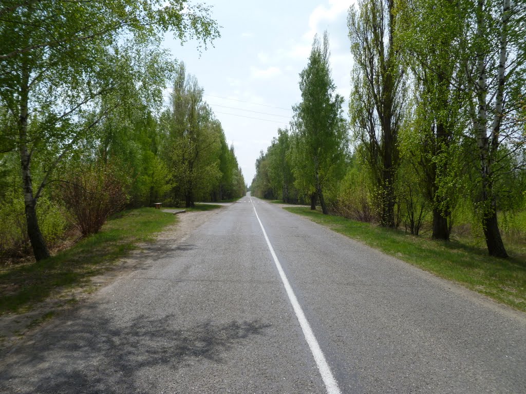 Road To Sloboda, Олива