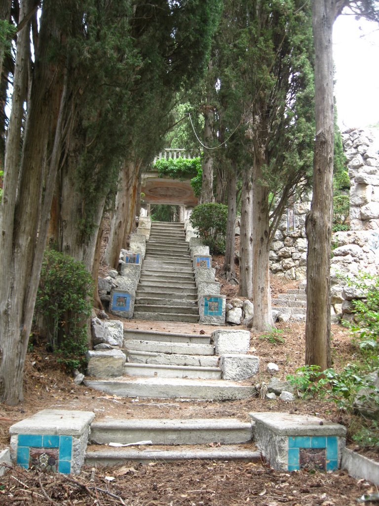 Лестница Иакова в старом парке, Парковое