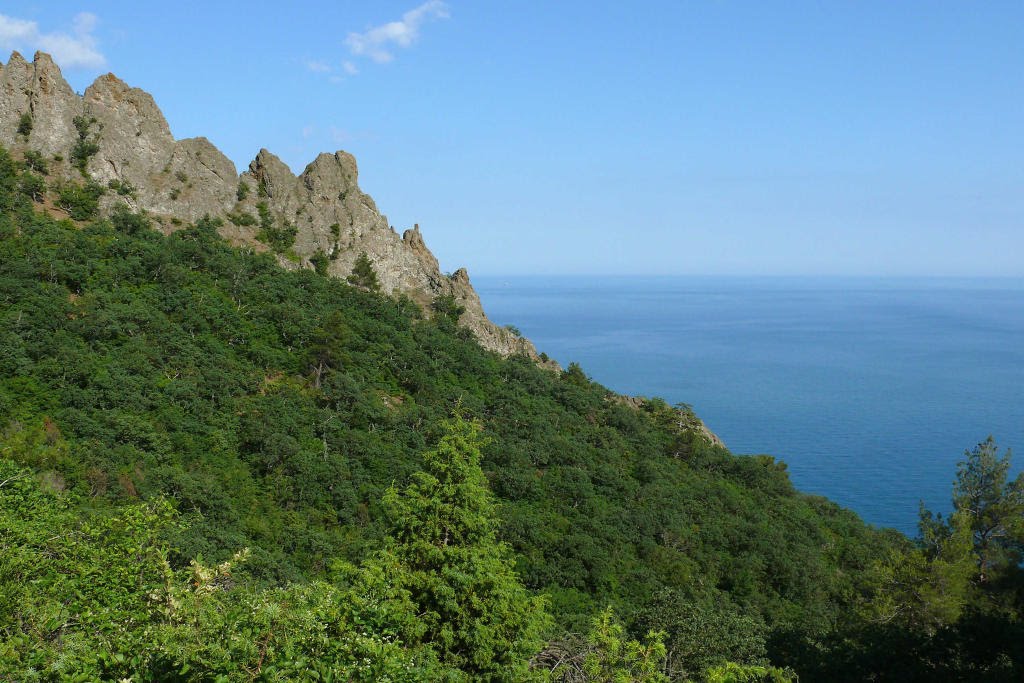 Rocks,forest and sea, Санаторное