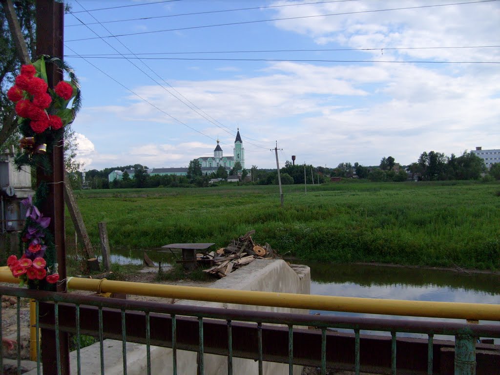 Электростанция 2010.07.07, Браилов