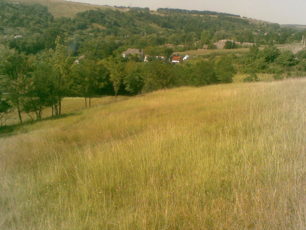 View from hill in Izrailovka, Вендичаны