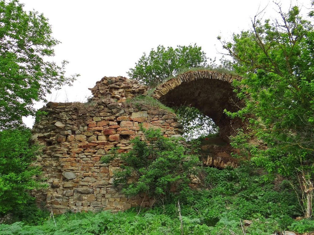 Озаринці - руїни замку,  Ozaryntsi - ruins of castle, Ozarzyńce - zamek, Вендичаны