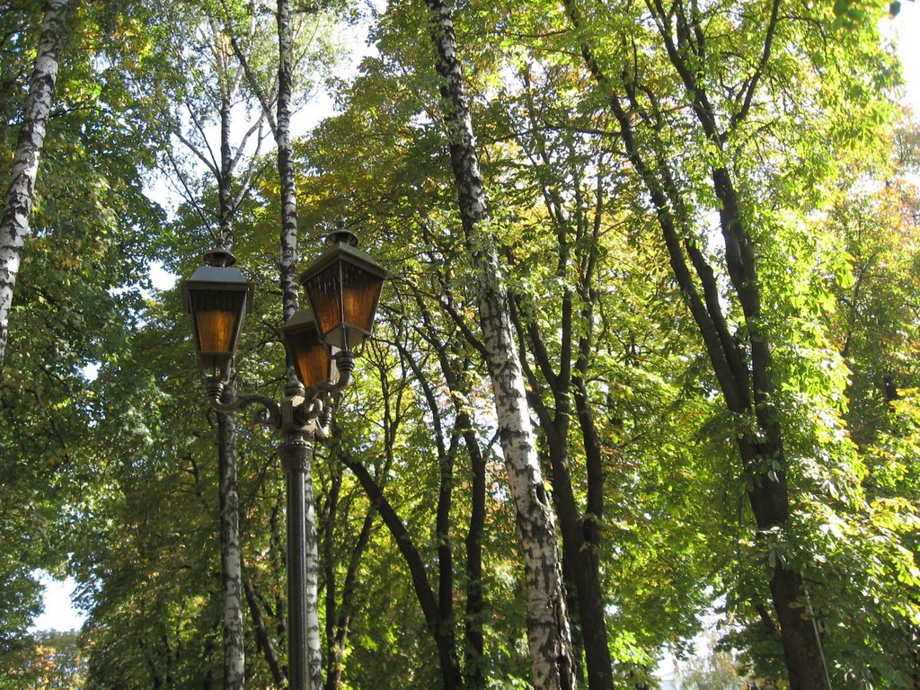 autumn park, Винница