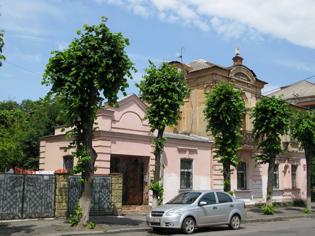 Вул.Козицького,Вінниця   2010   (Vinnytsia,Ukraine), Винница