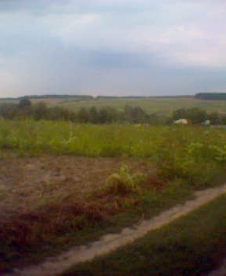 fields near Voronovitsa, Вороновица