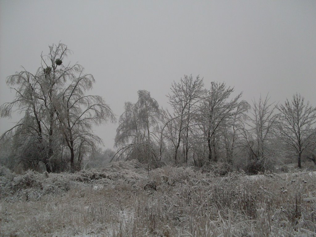 ~Зима~, Гайсин