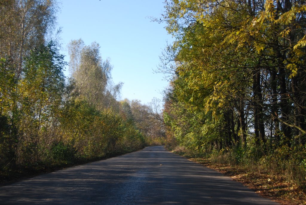 Дорога к селу Ворошиловка, Гнивань