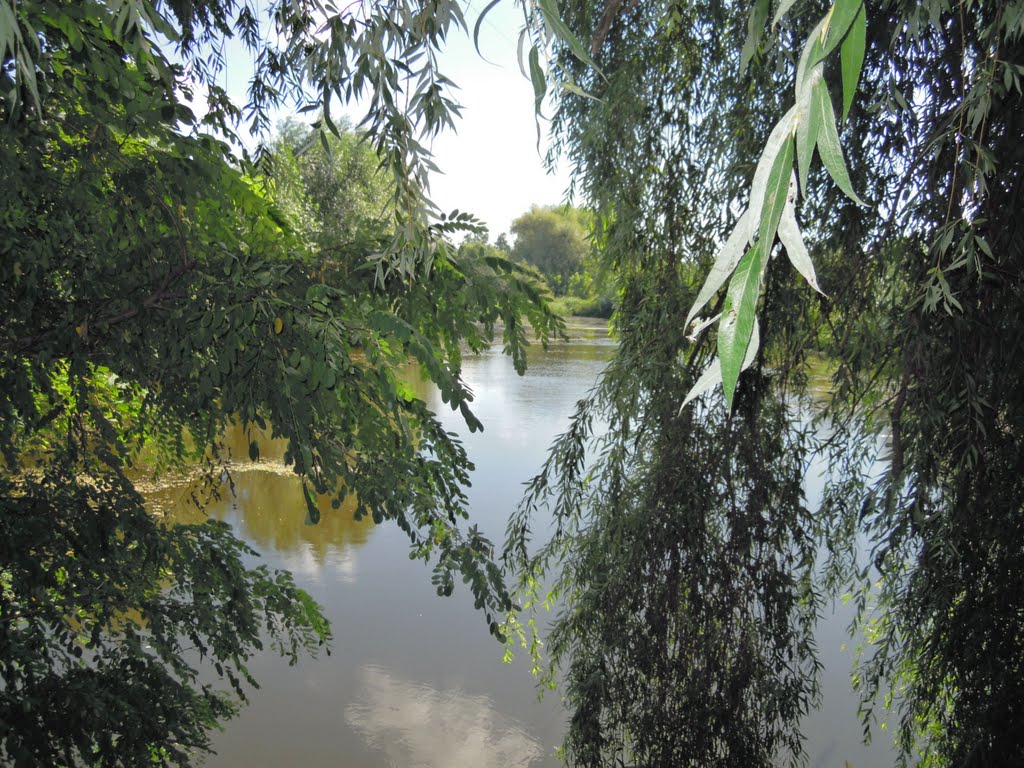 Река цыганка 5-ая дамба, Гнивань