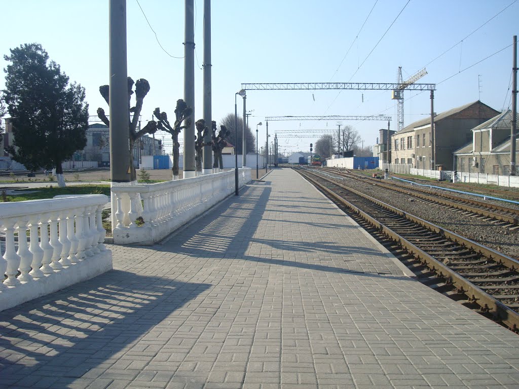 Станция Жмеринка. 1  платформа. Вид в сторону Винницы, Жмеринка