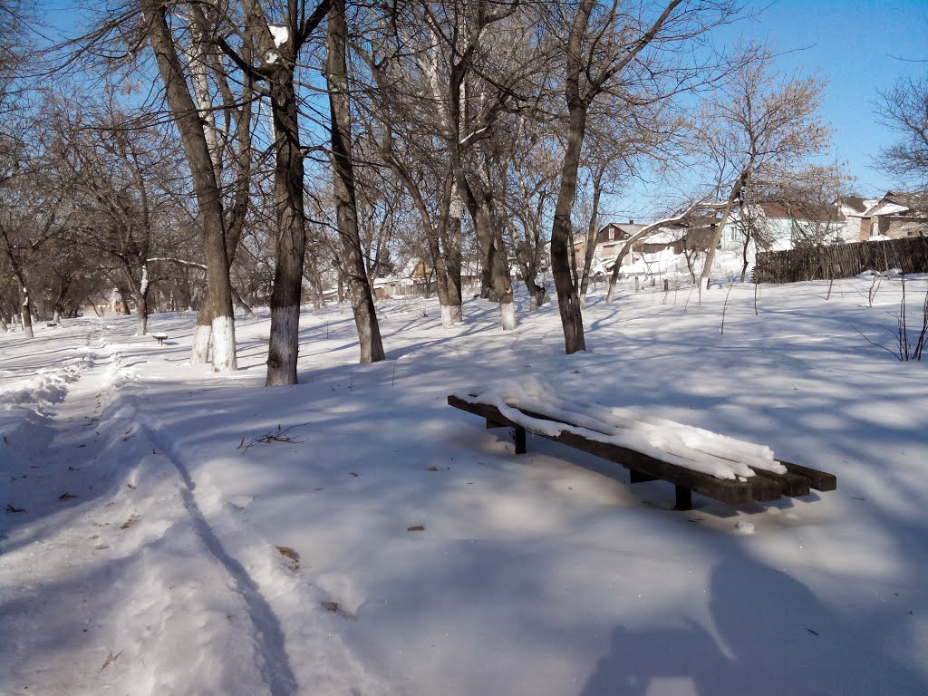 Заснеженная лавочка в парке (Зима 2014), Липовец