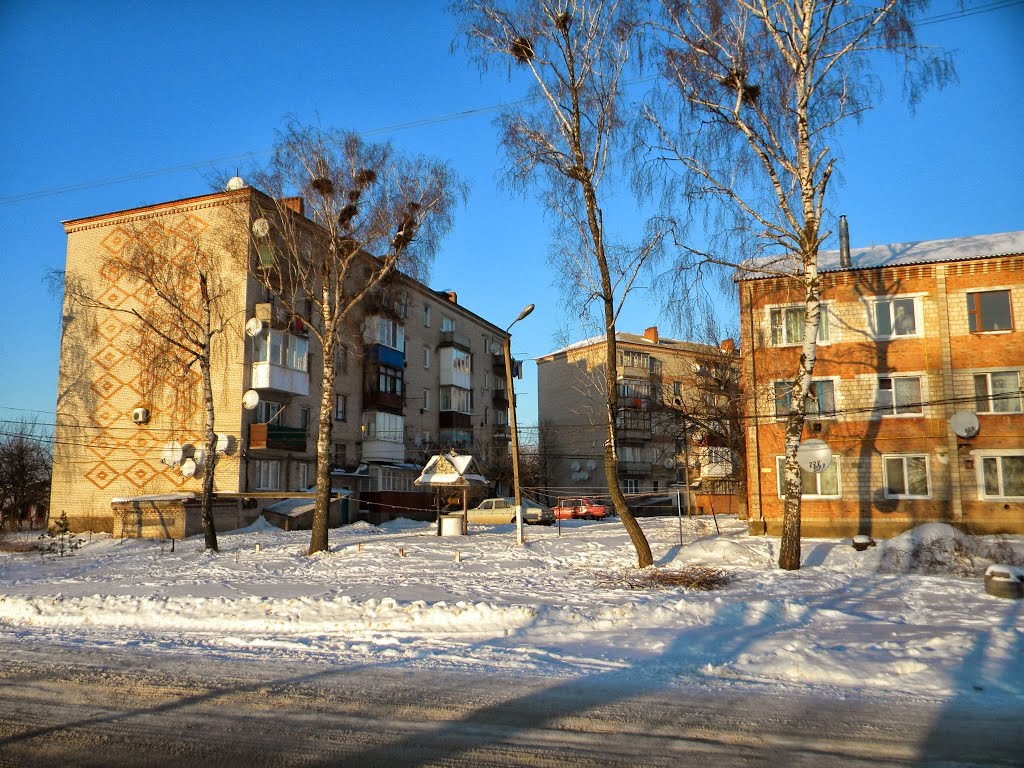 Многоэтажки Зимой 2014, Липовец