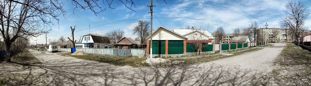 Панорама на ул. Пушкинской, Липовец
