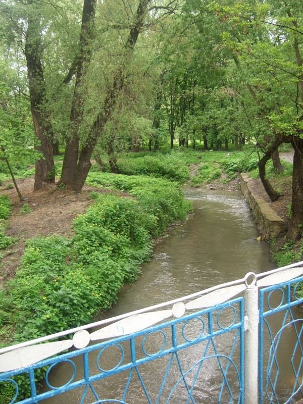 Дерло (в парку), Могилев-Подольский