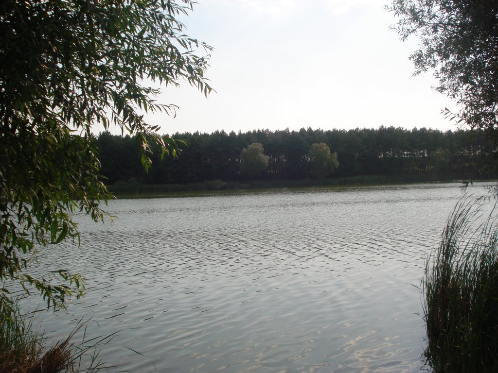 Nemiriv Lake 13, Немиров