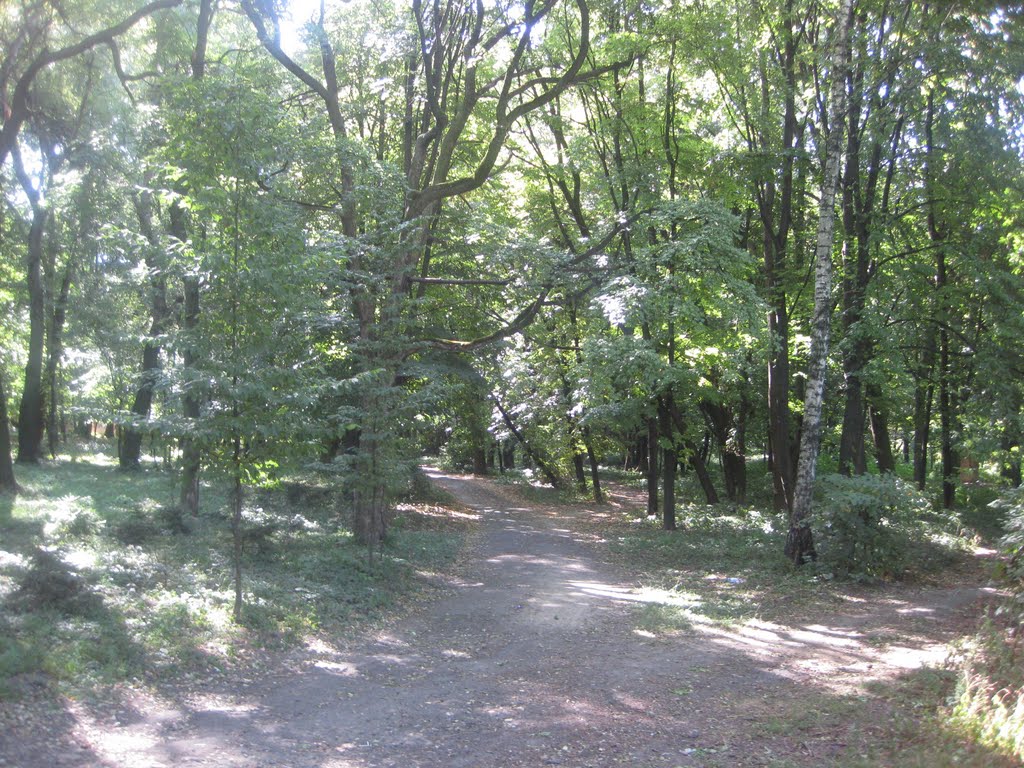 Дендрологічний парк, Немиров