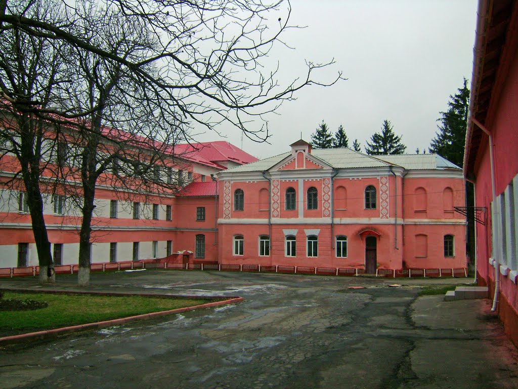 Школа - интернат(бывш. женское епархиальное  училище), Тульчин