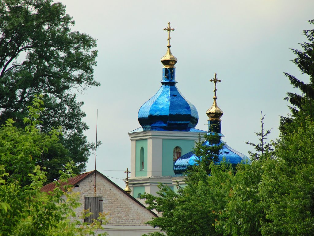 Вид на Свято - Троицкую Церковь с детсада, Хмельник