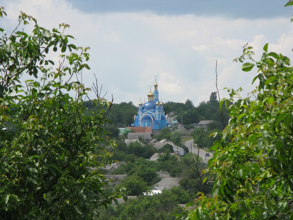 Вид на церковь Слободы-Шаргородской с территории монастыря, Шаргород