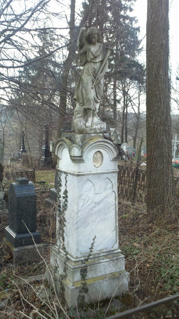 Старе польське кладовище, Шаргород