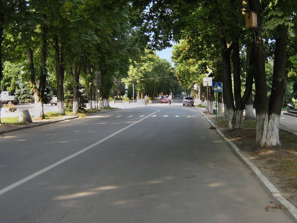 ►Центральная улица, Ямполь