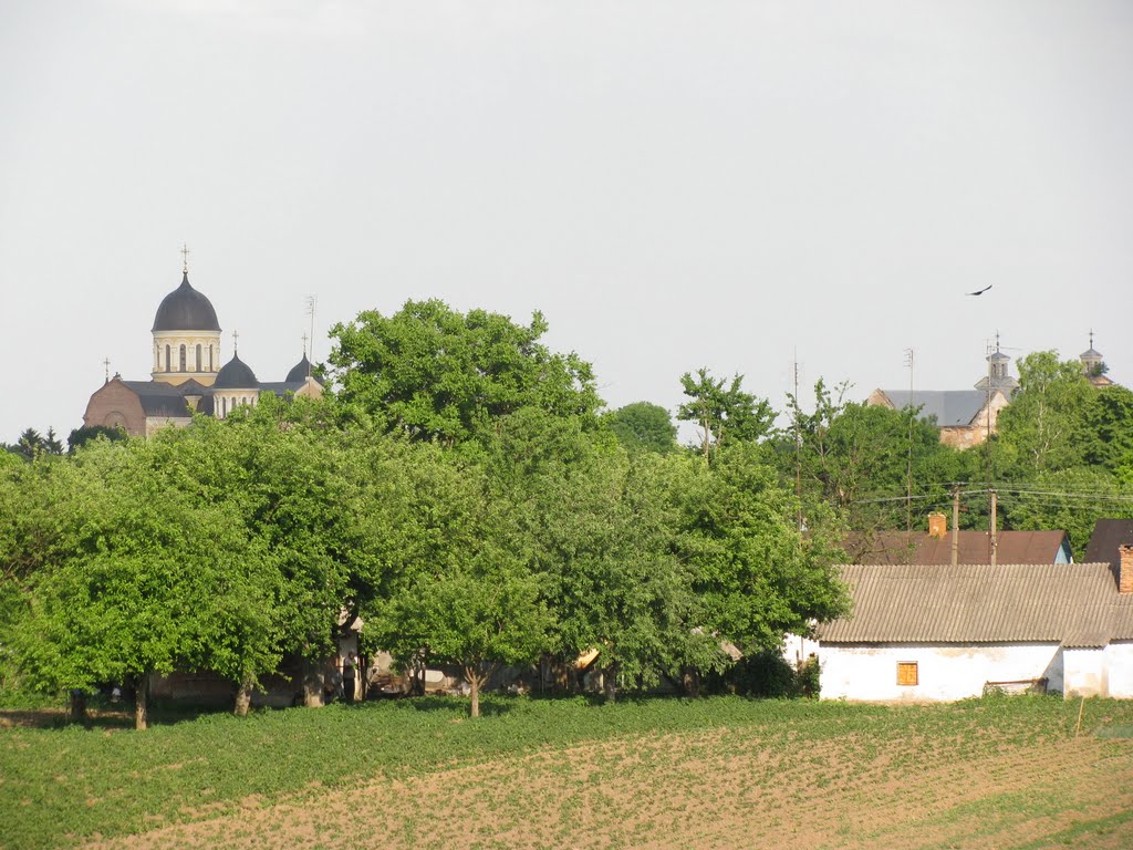 Вид на місто з каплиці, Берестечко