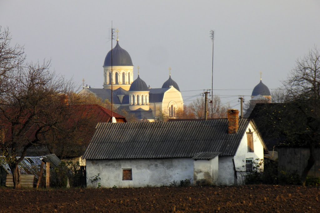 Вид на Троїцьку церкву у Берестечку, Берестечко