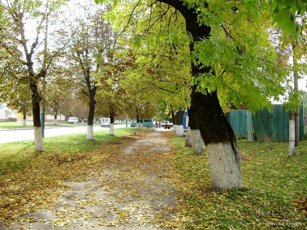 осінь, Владимир-Волынский