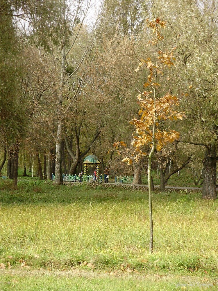 Володимир. Словянський парк. джерело 10.2010, Владимир-Волынский