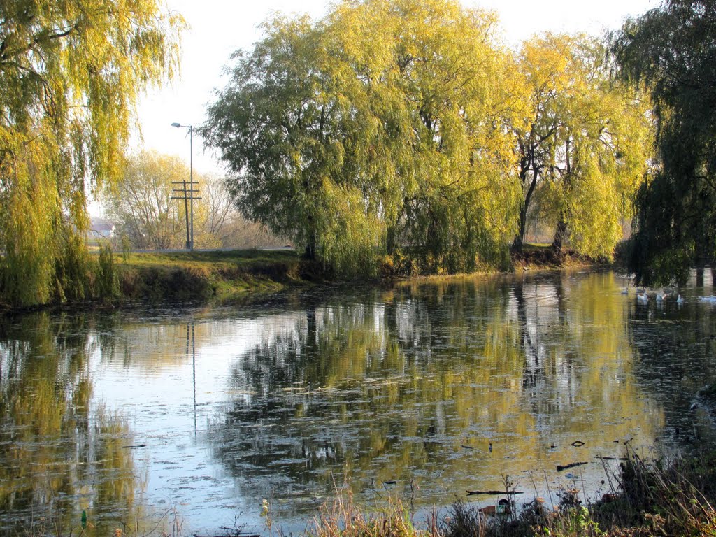 Озеро в парке Вильгов,примыкает к трассе Луцк-Ковель., Голобы