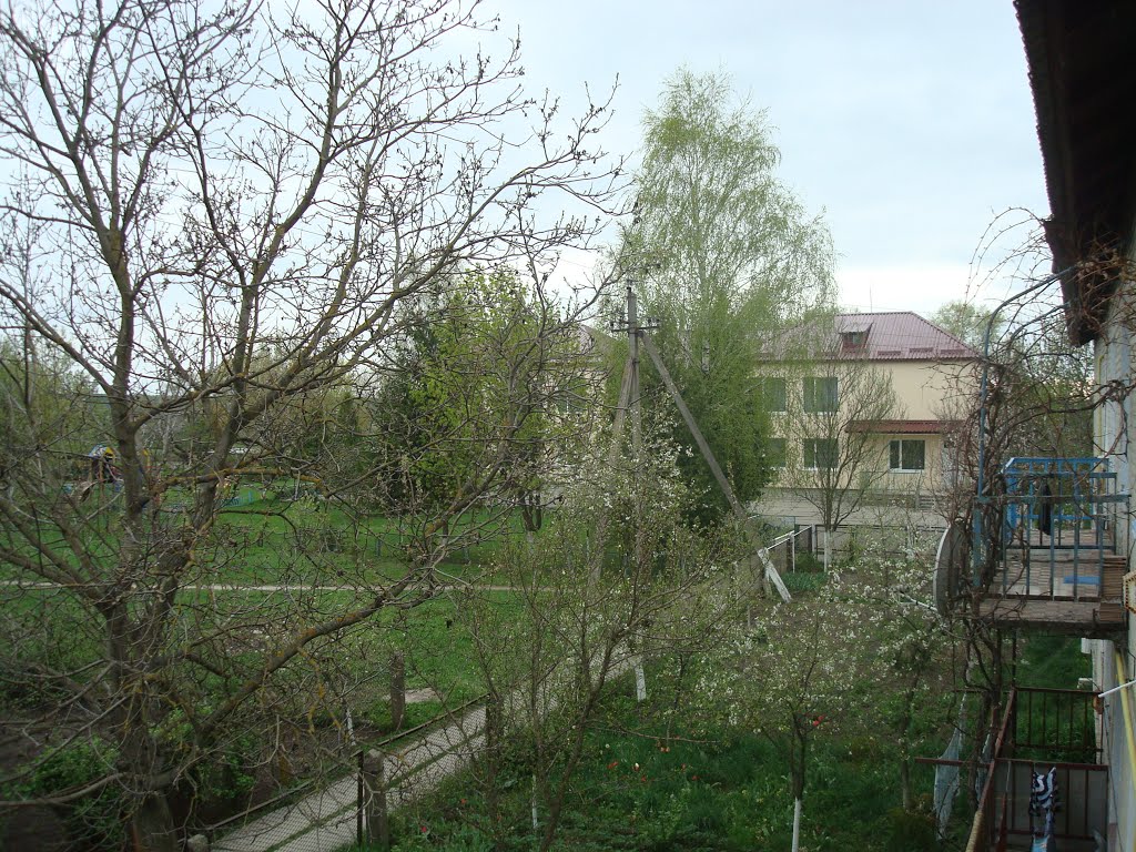 Вид с балкона школа, Голобы