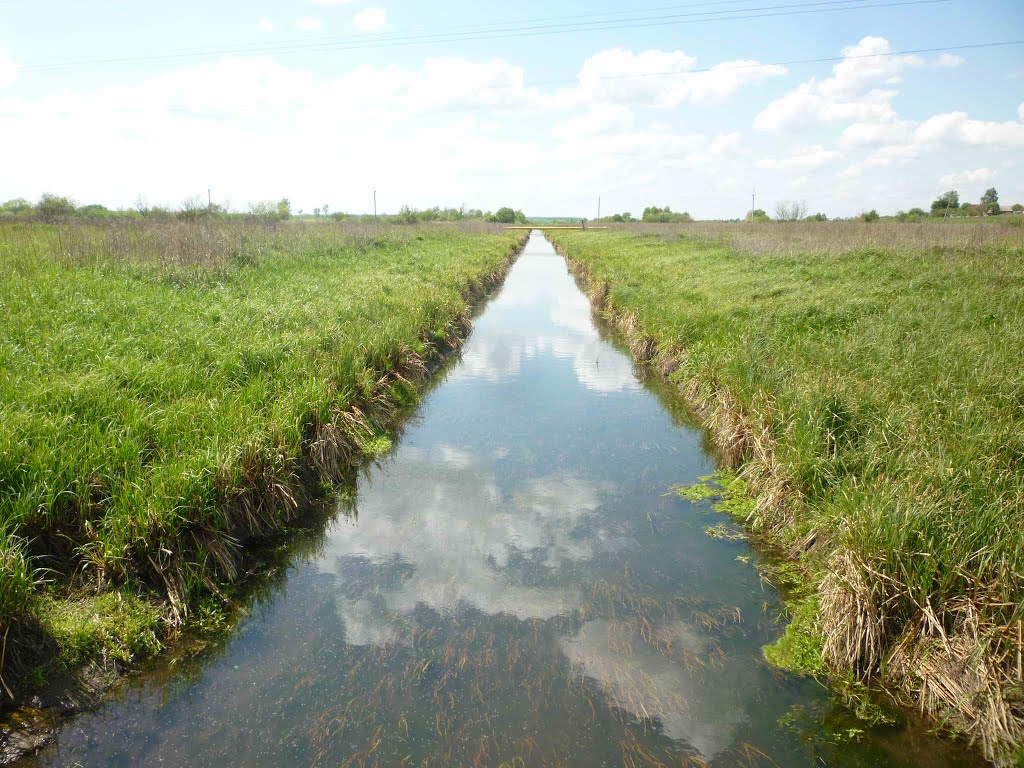 р. Млинівка, Горохов