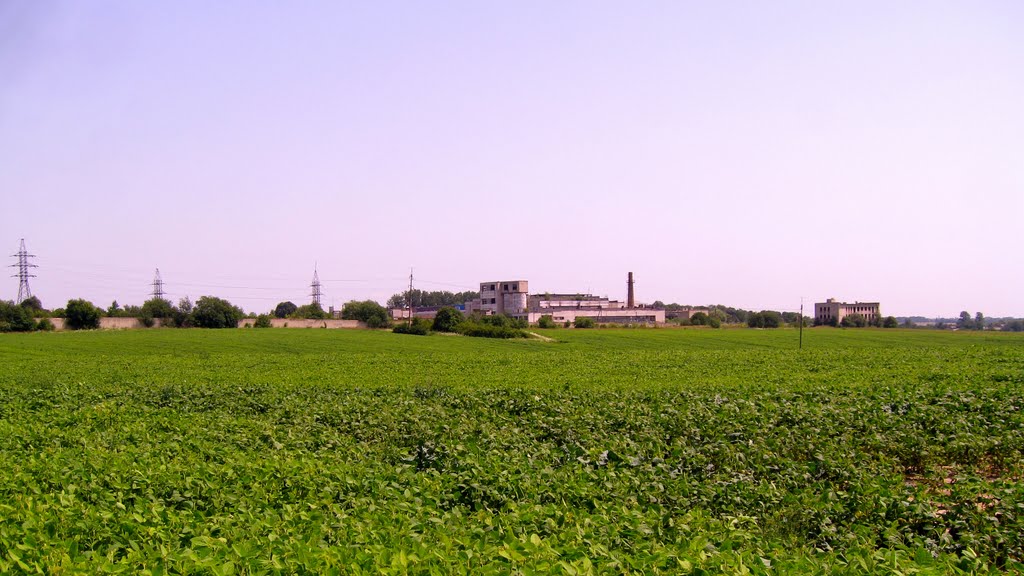 Горохів,  ливарний  завод, Горохов