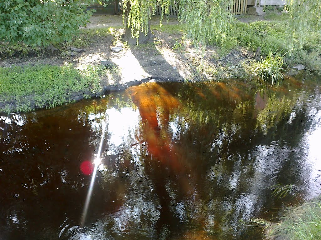 Зеркалом блестит река. 28.06.2012, Камень-Каширский