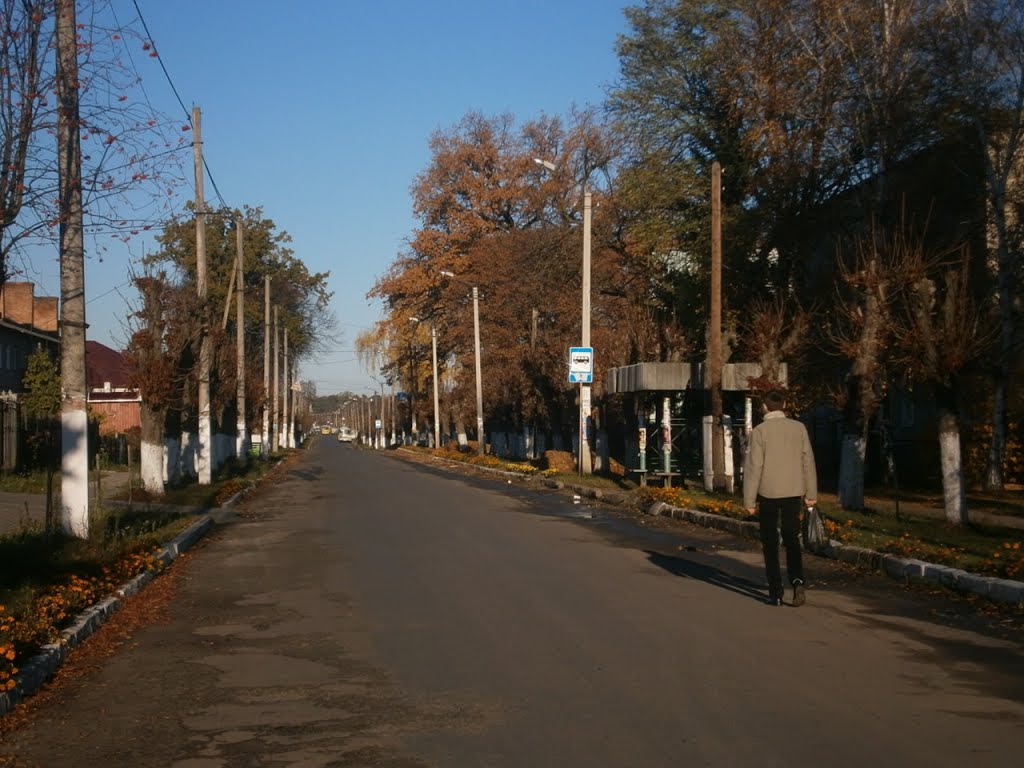 Autumn road, Киверцы