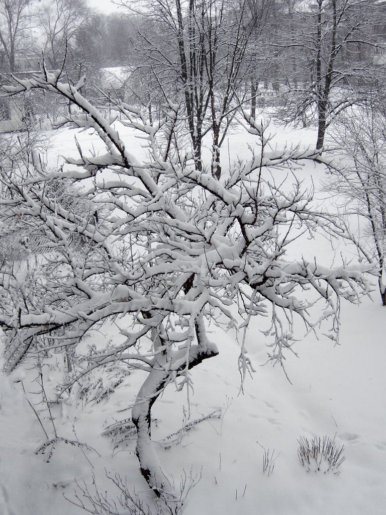 Солодкі спогади про позаминулорічний (березневий!) сніг.... Sweet flashbacks about last years (March!) snow...., Ковель