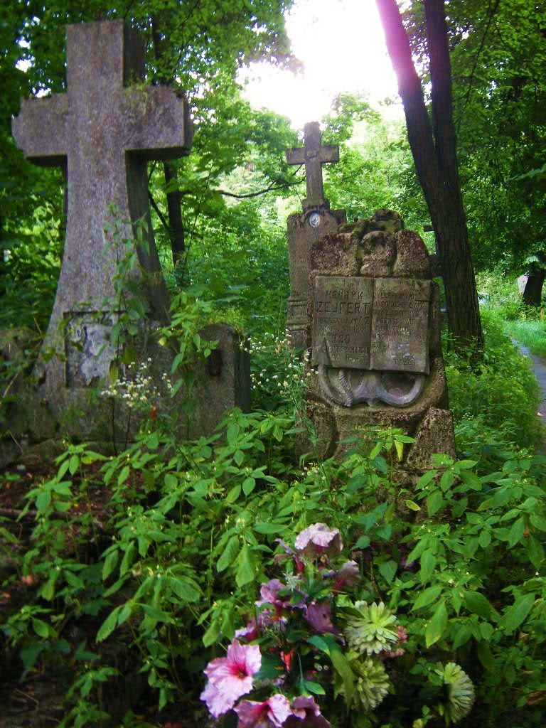 Cmentarz w Kowlu-polskie groby/Cemetery in Kovel-Polish tombs, Ковель