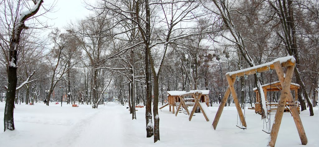 Перший сніг у міському парку_First snow in the city park, Ковель