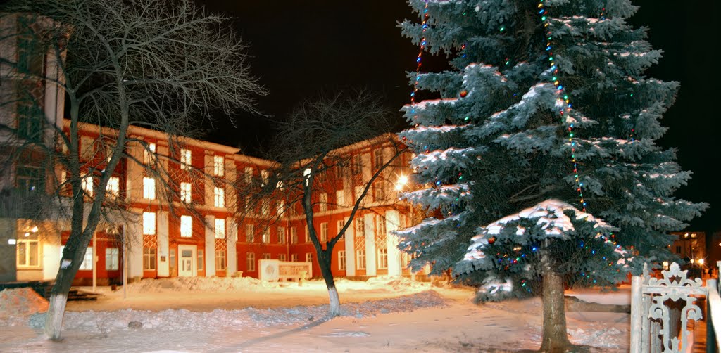 Ковель. Ялинка біля лікарні_Kovel. Christmas tree at the hospital, Ковель