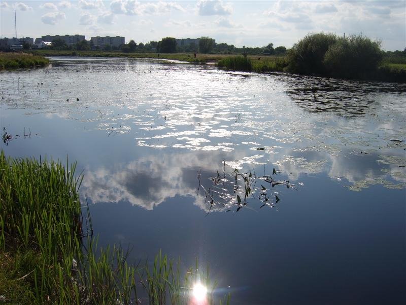 River Turia, Ковель