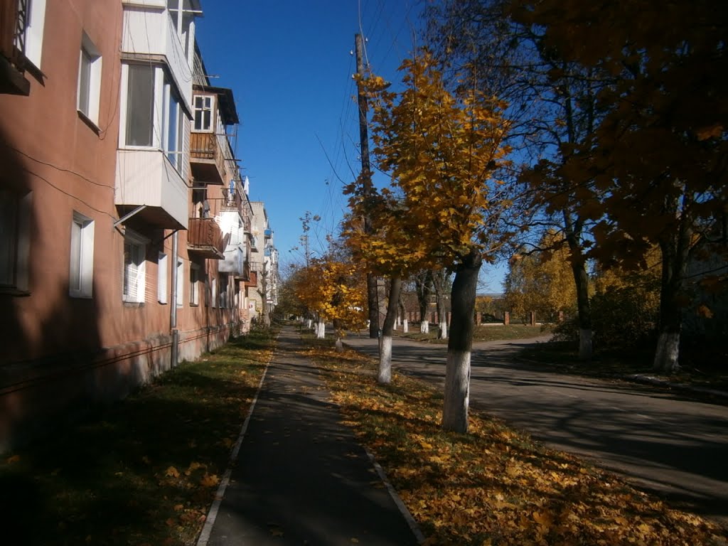 Autumn street, Ковель