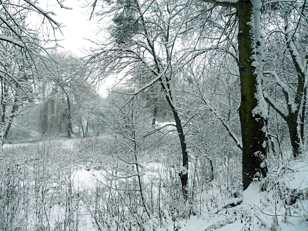 Зимовий Парк, Луцк
