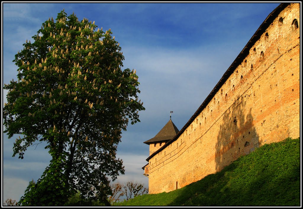 Замок Любарта. Луцьк  Lubart’s castle. Lutsk, Луцк