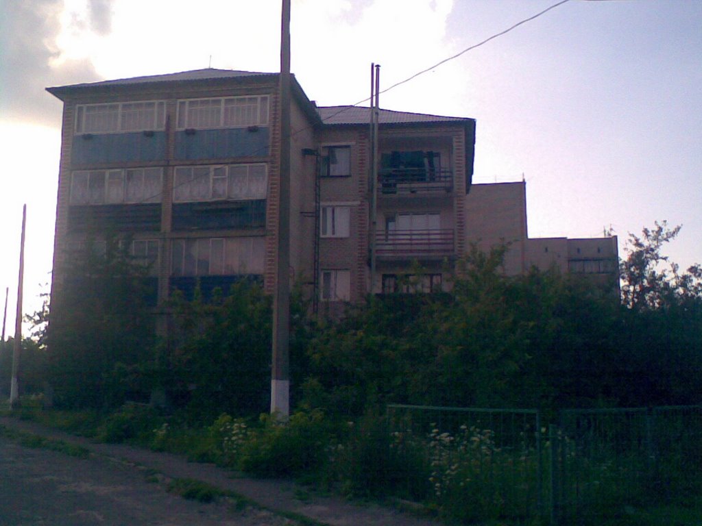 Будинки, Любешов