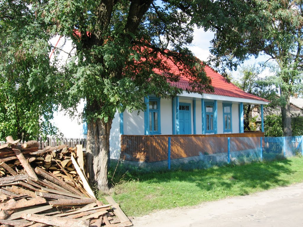 Старий дім на вул. Шевченка, Маневичи