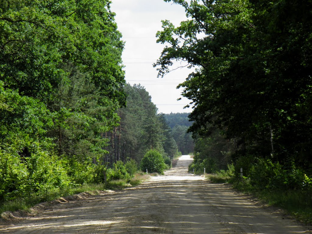 Лісова дорога на Вовчецьк, Маневичи
