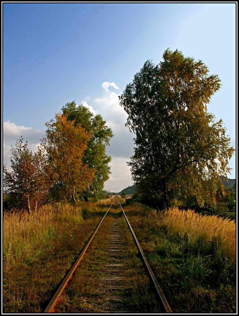 Дорога в осінь...  Droga do jesieni...  A road is in an autumn..., Нововолынск