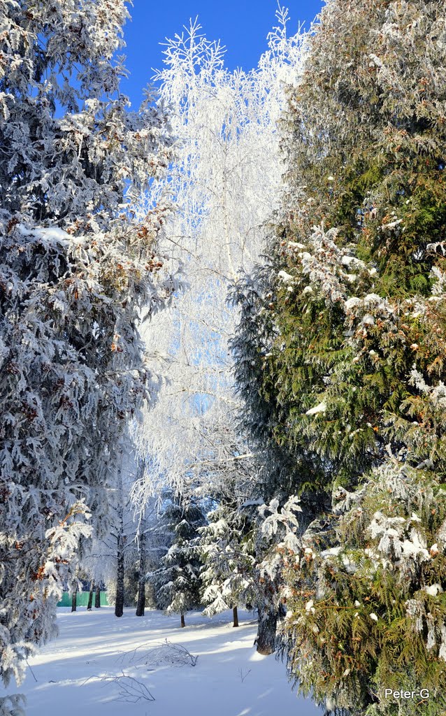 Зимовий пейзаж / Winter Landscape, Нововолынск
