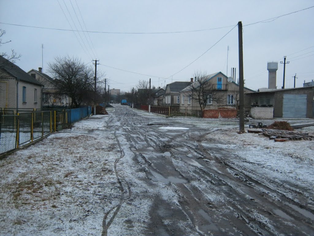 Зима 2011, Рожище