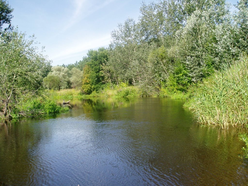 Orel river near Tsarichanka, Царичанка