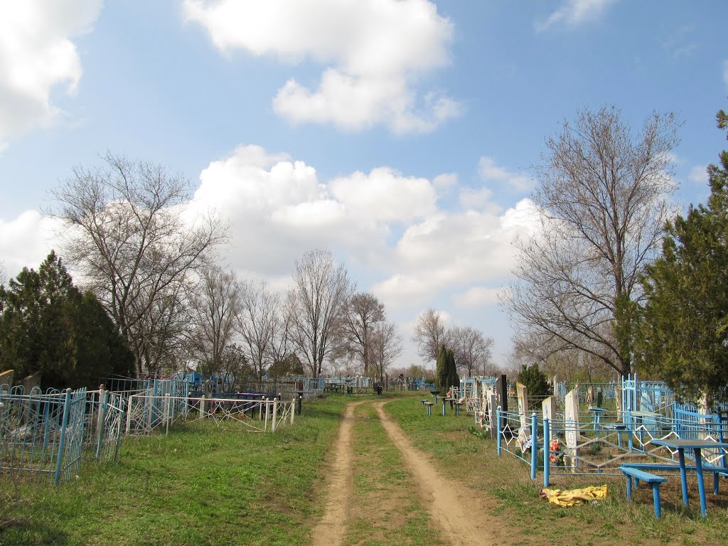 Широківське кладовище, 2013, Широкое